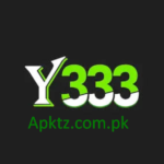 Y333 Game